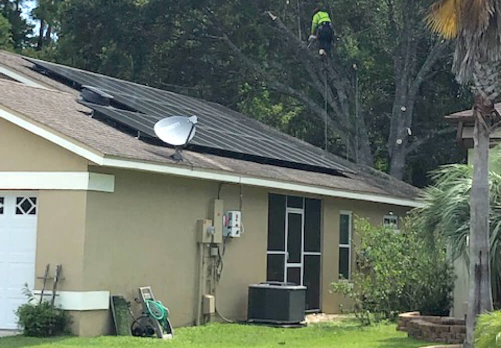 solar energy company in Orlando